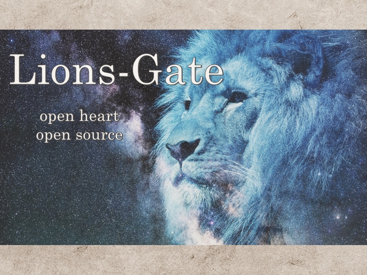 EnergieFrequenz 8:8-Lions-Gate
